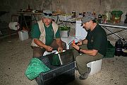 Encuentro Familiar 2012 083